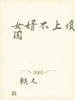 女婿不上坟的原因封面