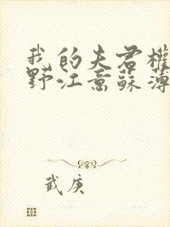 我的夫君权倾朝野江意苏薄封面