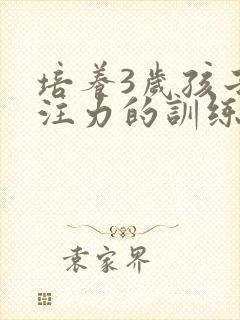 培养3岁孩子专注力的训练方法