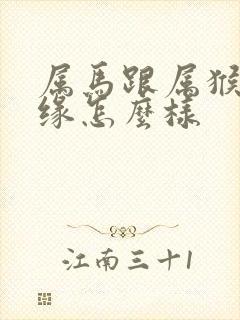 属马跟属猴的姻缘怎么样