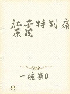 肚子特别痛什么原因