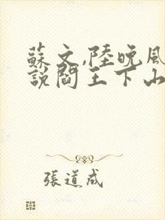 苏文,陆晚风小说阎王下山