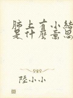 肺上有小结节影是什么意思