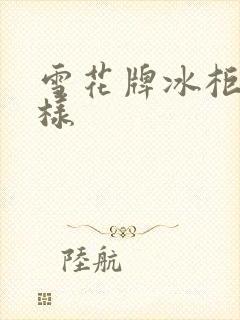 雪花牌冰柜怎么样
