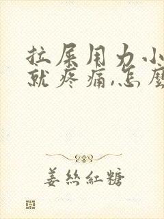 拉屎用力小腹部就疼痛,怎么回事