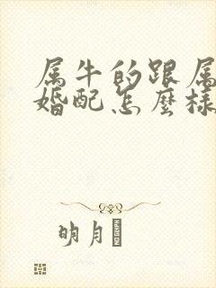 属牛的跟属龙的婚配怎么样