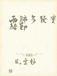 两肺多发实性微结节