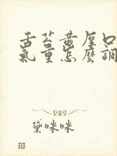 舌苔黄厚口臭湿气重怎么调理封面