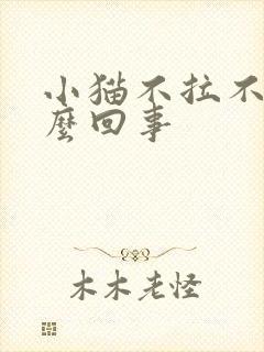 小猫不拉不尿怎么回事封面