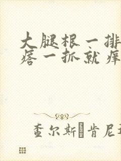 大腿根一排红疙瘩一抓就痒