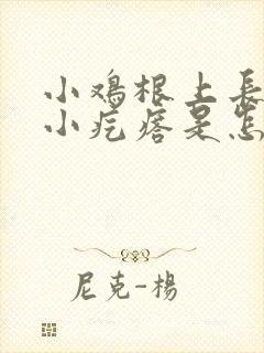 小鸡根上长了个小疙瘩是怎么回事