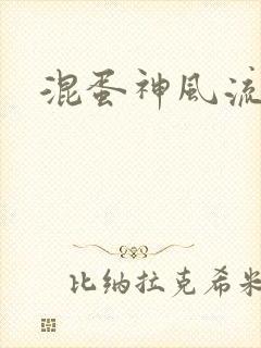 混蛋神风流