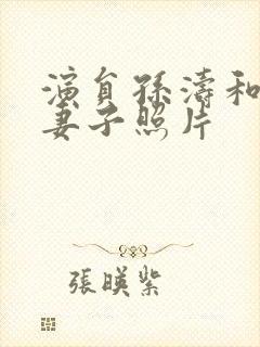 演员孙涛和她的妻子照片