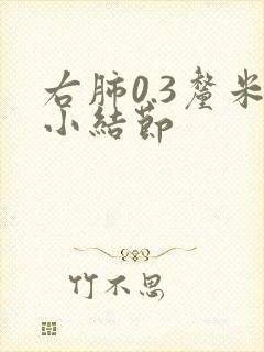 右肺0.3厘米小结节