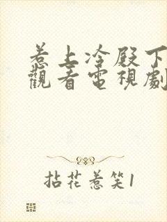 惹上冷殿下免费观看电视剧大全