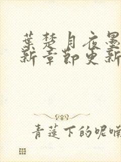 叶楚月夜墨寒最新章节更新小说