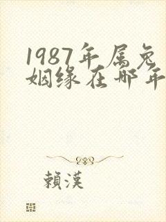 1987年属兔姻缘在哪年最旺盛