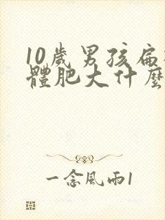 10岁男孩扁桃体肥大什么程度做手术