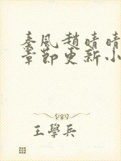 秦风赵晴晴最新章节更新小说下载