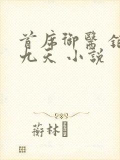 首席御医 银河九天 小说封面