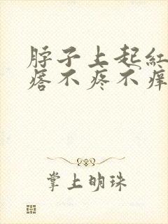 脖子上起红色疙瘩不疼不痒