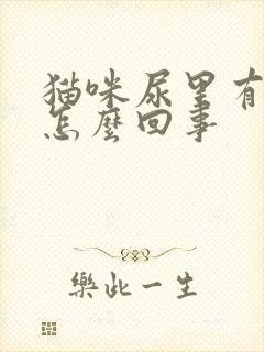 猫咪尿里有血是怎么回事