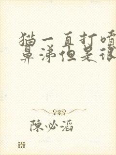 猫一直打喷嚏流鼻涕但是很精神很好封面