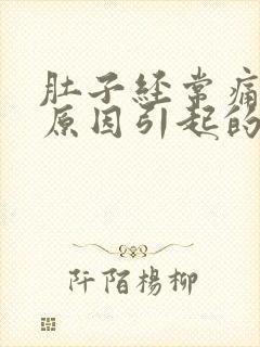 肚子经常痛什么原因引起的