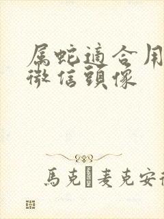 属蛇适合用什么微信头像封面