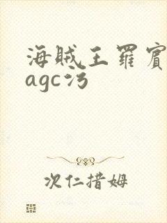 海贼王罗宾本子agc污