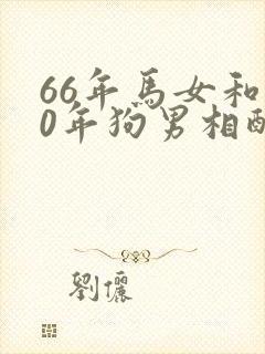 66年马女和70年狗男相配婚姻如何