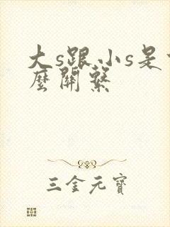 大s跟小s是什么关系封面