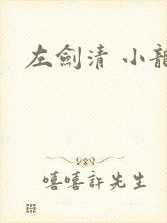 左剑清 小龙女