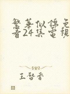 繁华似锦免费观看24集电视剧封面