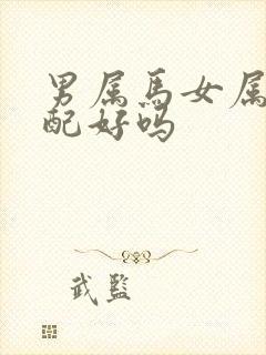 男属马女属龙婚配好吗