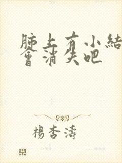 肺上有小结节不会消失吧