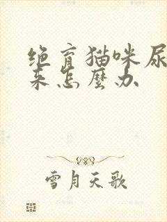 绝育猫咪尿不出来怎么办封面