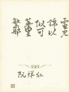 繁华似锦电视剧哪里可以免费观看