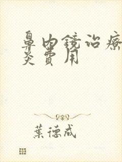 鼻内镜治疗鼻窦炎费用