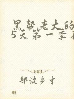 黑帮老大的365天第一季在线观看