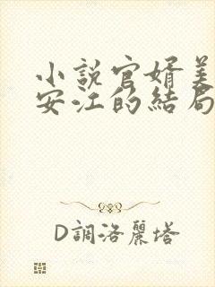 小说官婿美人图安江的结局