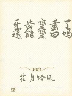 牙齿变黄了刷牙还能变白吗