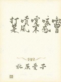 打喷嚏咳嗽鼻塞是风寒感冒还是风热感冒