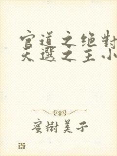 官道之绝对权力天选之主小说完本