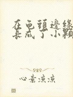 在龟头边缘一圈长成了小颗粒肉芽封面