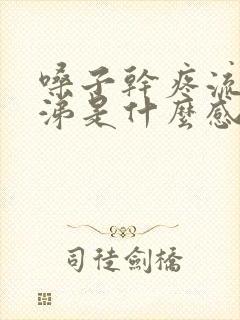 嗓子干疼流清鼻涕是什么感冒