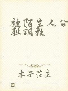 被陌生人公开羞耻调教封面