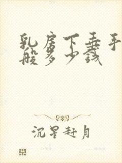 乳房下垂手术一般多少钱