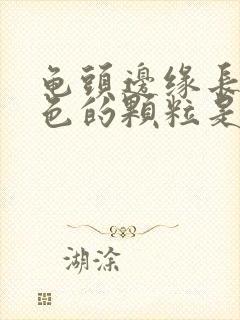 龟头边缘长了白色的颗粒是什么封面