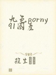 九色porny91国产